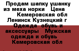 Продам шапку ушанку из меха норки › Цена ­ 9 000 - Кемеровская обл., Ленинск-Кузнецкий г. Одежда, обувь и аксессуары » Мужская одежда и обувь   . Кемеровская обл.